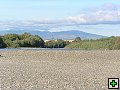 thn_NZ leden-unor 2006 059.jpg